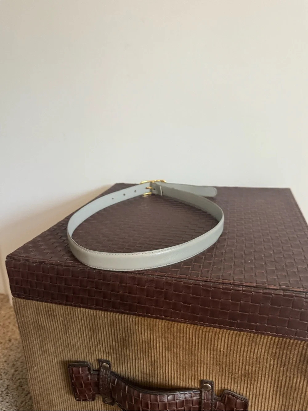 Light Gray Leather Belt with Gold Buckle - Women's Accessory